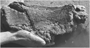 Earliest Fossils Fossil stromatolite in 3.