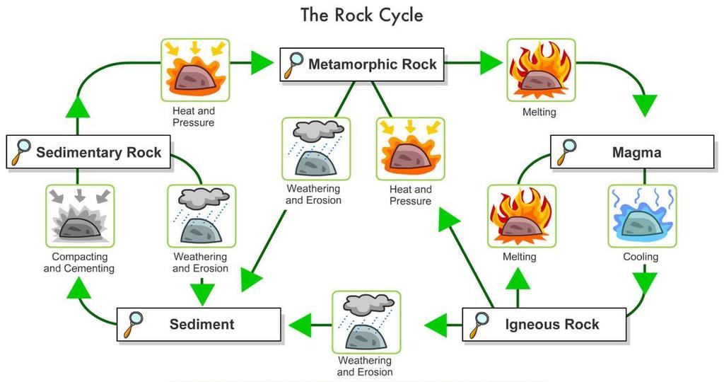 The rock cycle The Earth is continually changing.
