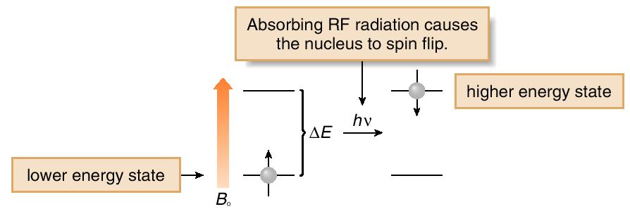 Nuclear Magnetic Resonance NMR collects information concerning interactions