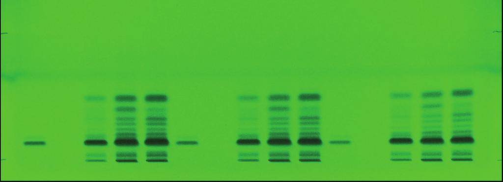 Under the identification test, it refers to a specific method related to its botanical characteristics, which requires high performance thin layer chromatography (HPTLC).