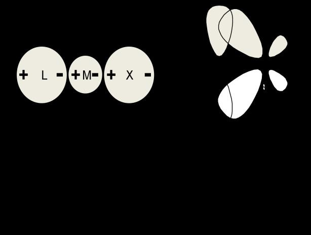 Reason for the trans effect: - and -Orbitals of two mutually trans-ligands