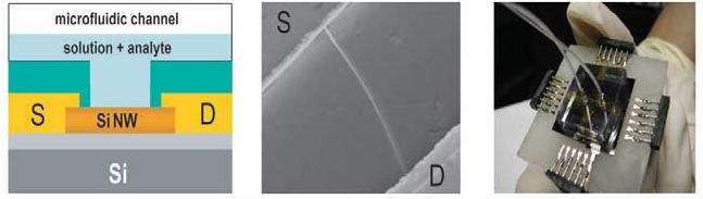 The electronic characteristics of nanowires are well controlled during growth in contrast to carbon nanotubes