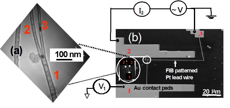 Figure 21. The (a) MWNT Y-junction electrical measurement configuration as imaged in the (b) SEM. 2.6.