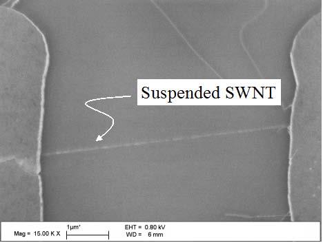 Area highlighted by dashed lines indicates the region observed in the high magnification image in (c), where the typical SWNT lengths were 5-10 µm.