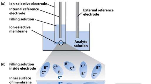 14-4. How ion-selective electrodes work? 14.