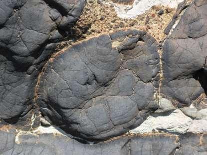 Pillow lavas, are bulbous, elongate, or tubular shaped