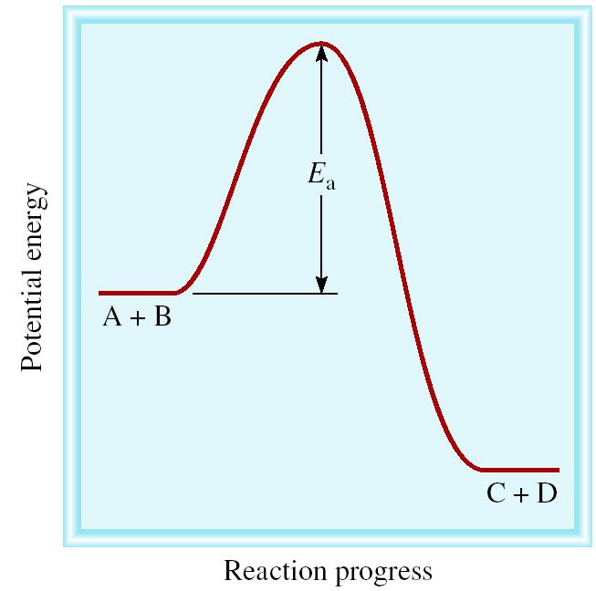 equilibrium sooner Catalyst lowers E a for both forward and reverse