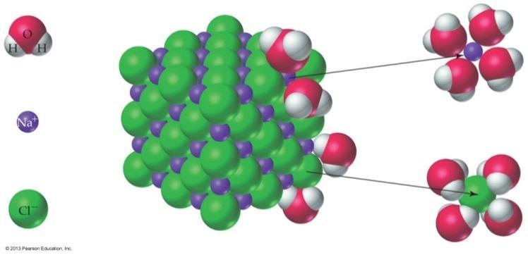 General Rule of solvation: Solvation: Solutions can only form when the types of interactions are similar in kind and magnitude.