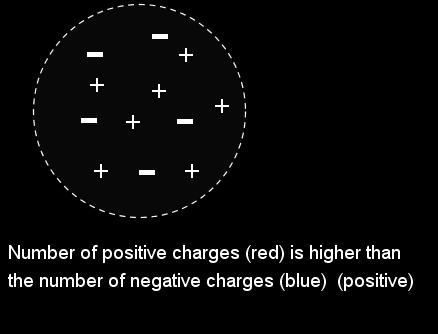A neutral object has equal amounts of positive and negative charge What