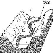 in layer B? Figure 23-3 34.