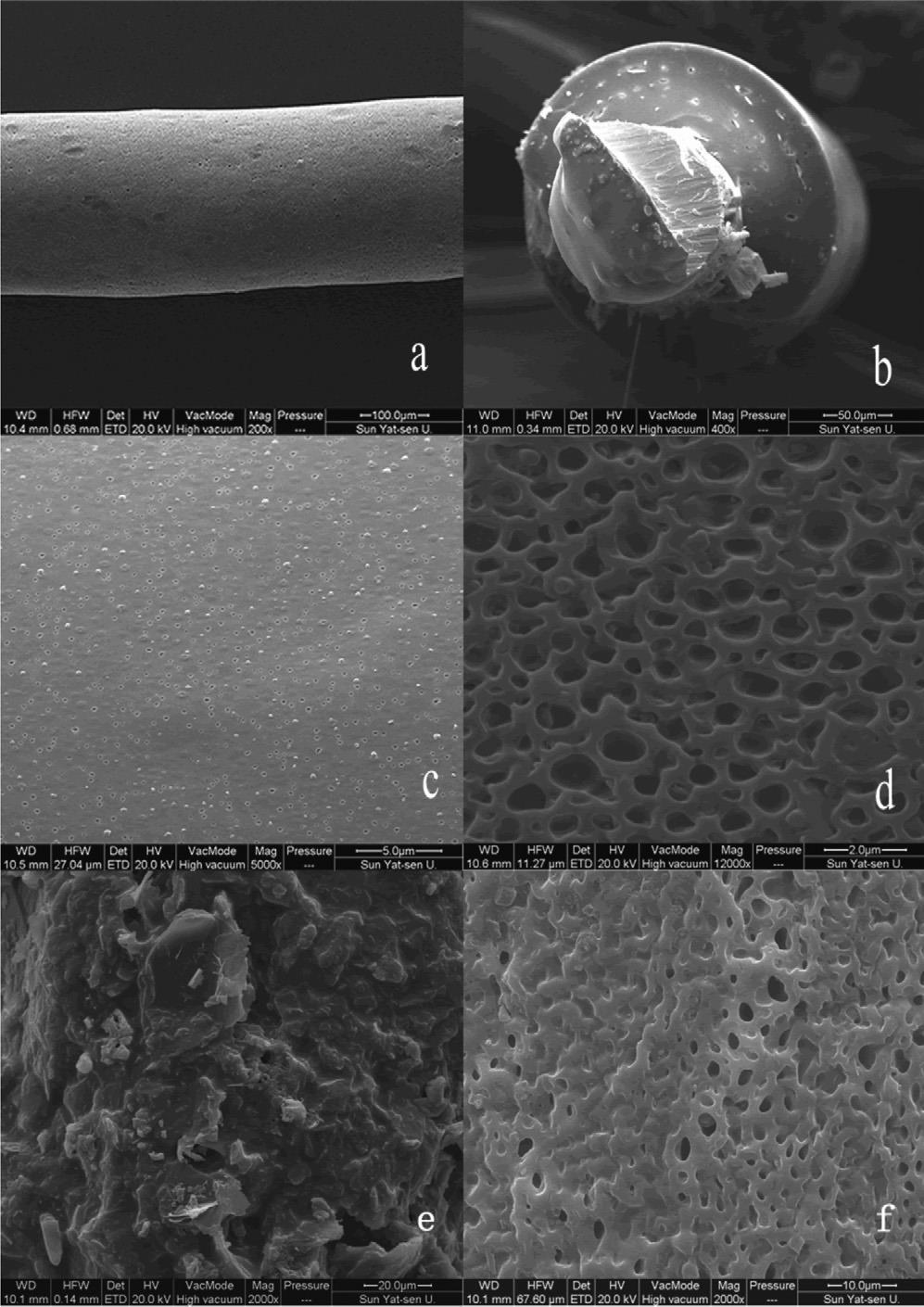 SPME Fibers A coated fused silica or steel wire Multiple Coatings - Graphene [right], Polyacrylate, metal alloys and other polymers Chen, J.; Zou, J.