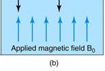 Examples: The spinning charge in the nucleus creates a MAGNETIC MOMENT. We saw in Chapter 15 how a dipole moment creates an electric field. What does a magnetic moment create?