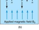 If the normally disordered magnetic moments of atoms are exposed to an external magnetic field, their magnetic moments will align.