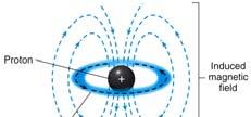 The magnetic moment of the electrons generally reduces the effect of the external field. The more SHIELDED a nucleus is with electron density, the smaller the α β energy gap. WHY?