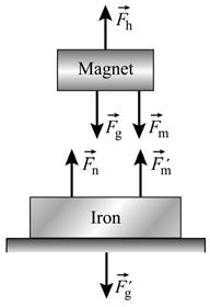 (a) Demontation : Demontation : Application of Newton Law 69 (b) Becaue the magnet doen t lift the ion in the fit demontation, the foce exeted on the ion mut be le than it (the ion ) weight.