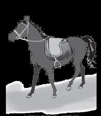 NCEA 2016 Pressure - The Horse Q1c Each of the horse s hooves has a surface area of 44 cm2 (0.