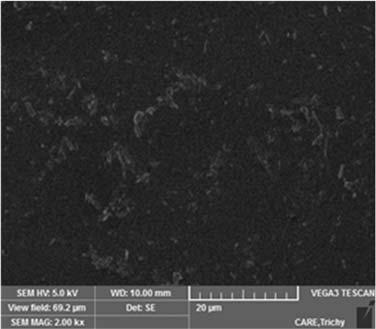 S. Sakthivel, et al., Nano Vision, Vol.5 (4-6), 89-94 (2015) 93 Figure 3. SEM image of PPy/ZnO nanocomposite Thin film 4.