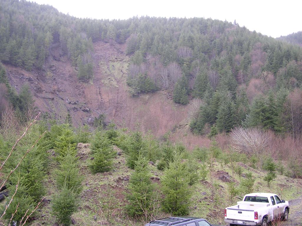 year-1 of sediment are produced from landslides; approximately 50 tonnes km-1 year-1 of