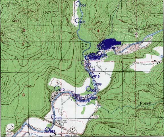 Rolling Provincial Review: Implementation 2001-2004 Geomorphic Characterization of Alluvial Channel Network Preliminary Results Mainstem Grays River Mainstemdownstream of Bedrock Canyon is the first