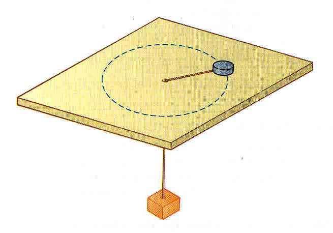 P-4. (10 marks) Uniform Circular Motion An air puck of mass 0.5 kg is tied to a string and allowed to revolve in a circle of radius 1.0 m on a frictionless horizontal table, as displayed below.