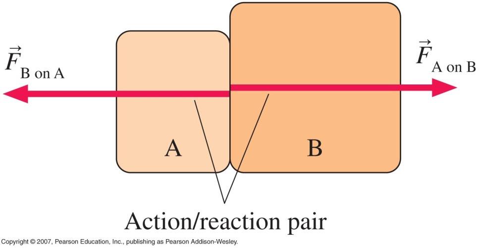 Forces and Interactions Forces result from an interaction between two objects.