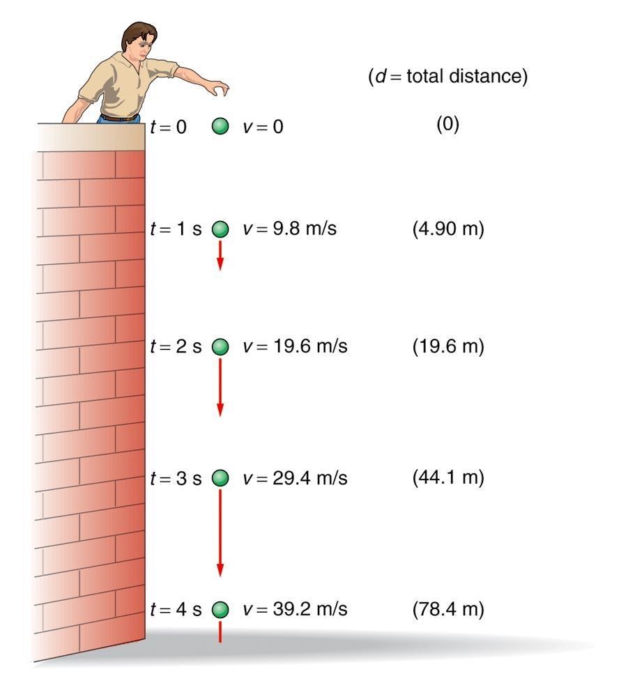 The distance traveled by the falling object increases each second, however