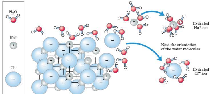Ionic Interactions Water dissolves crystalline salts by hydrating and stabilizing component ions For example NaCl: - NaCl crystal lattice is disrupted as water molecules cluster about the Cl - and Na