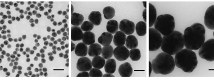 Siver Nanoparticles Silver nanoparticles exhibit the distinctive features of high electrical conductivity, low sintering temperature, enhanced catalytic properties, better chemical reactivity, and