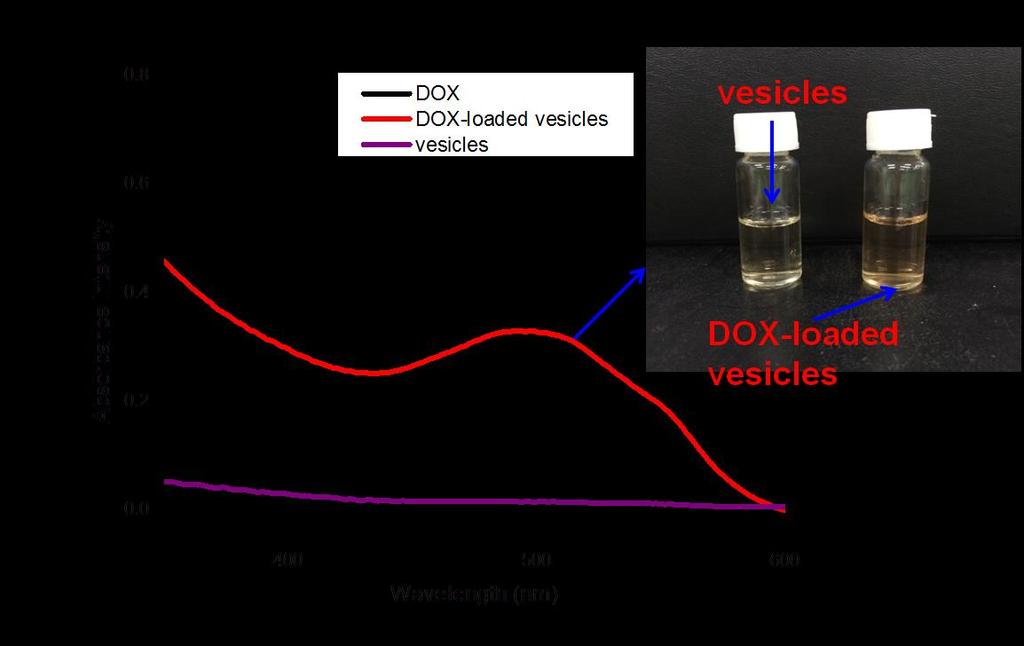 17. UV vis absorption spectra of vesicles, DOX, and DOX-loaded vesicles at 25 C in water Fig. S30 UV vis absorption spectra of vesicles, DOX, and DOX-loaded vesicles in water.