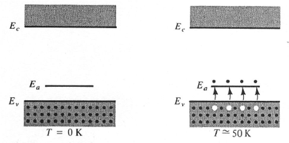 Extrinsic Material acceptance of electrons Ptype material Acceptance of valence band electrons by an acceptor level, and the resulting creation of holes.