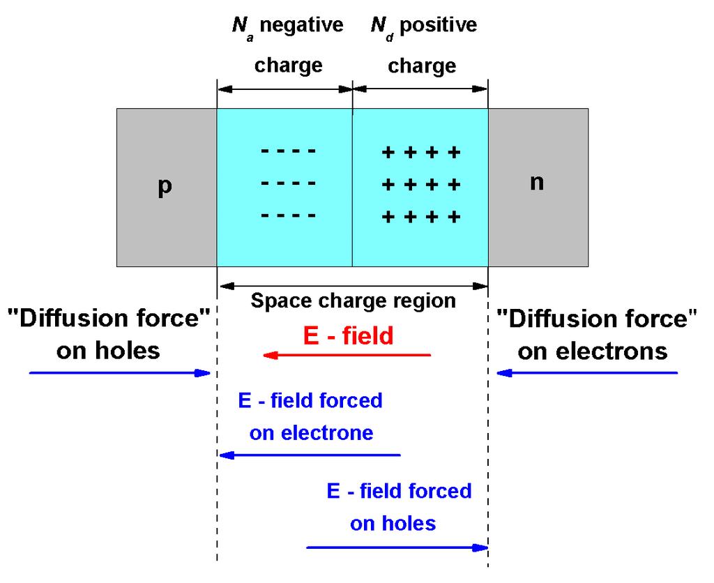 pn Junction This cannot occur in the case of the charged particles in a pn junction because of the development of space charge and the electric field.