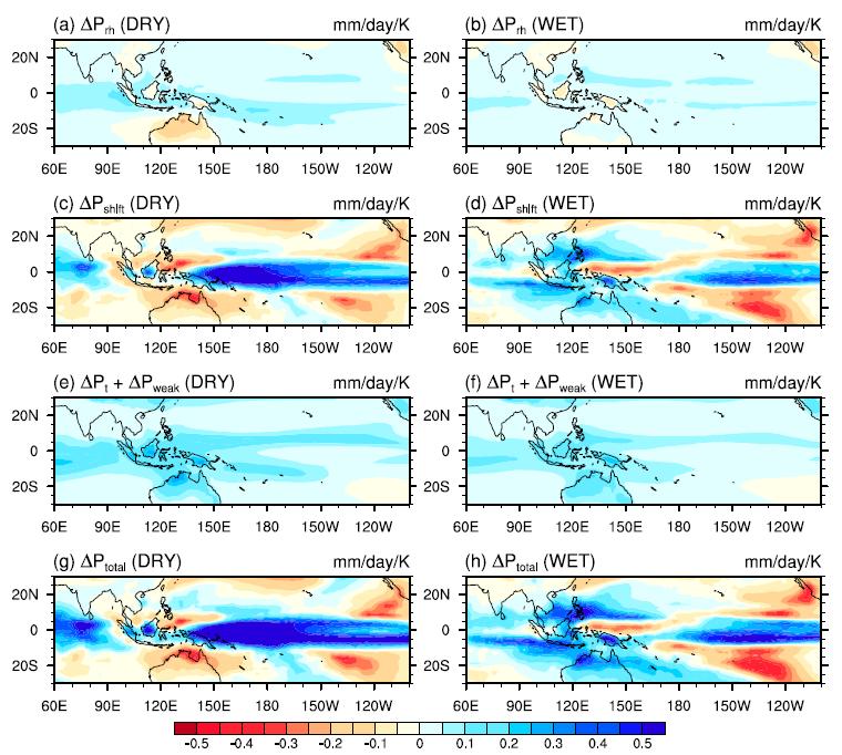 Model projections of future changes Change in DJF Australian monsoon precipitation (%K -1 ) vs change in DJF Western Equatorial Pacific SST (K) averaged over the domain 108S 108N, 1508 2008E for RCP8.