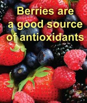 Chemistry in the body Why are we encouraged to eat foods that are high in antioxidants?