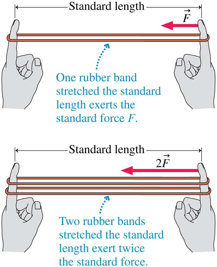 What Do Forces Do? A Virtual Experiment A standard rubber band can be stretched to some standard length.