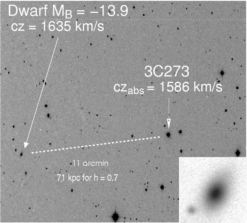 Dwarf Galaxy Winds Reproduced from Stocke et al.