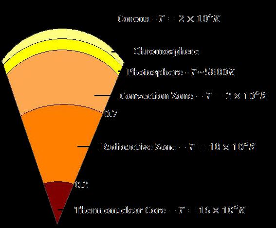 Convection Zone T = 6,000 100,000 K Radiation Zone T = 100,000 5,000,000 K Temp is highest in the core