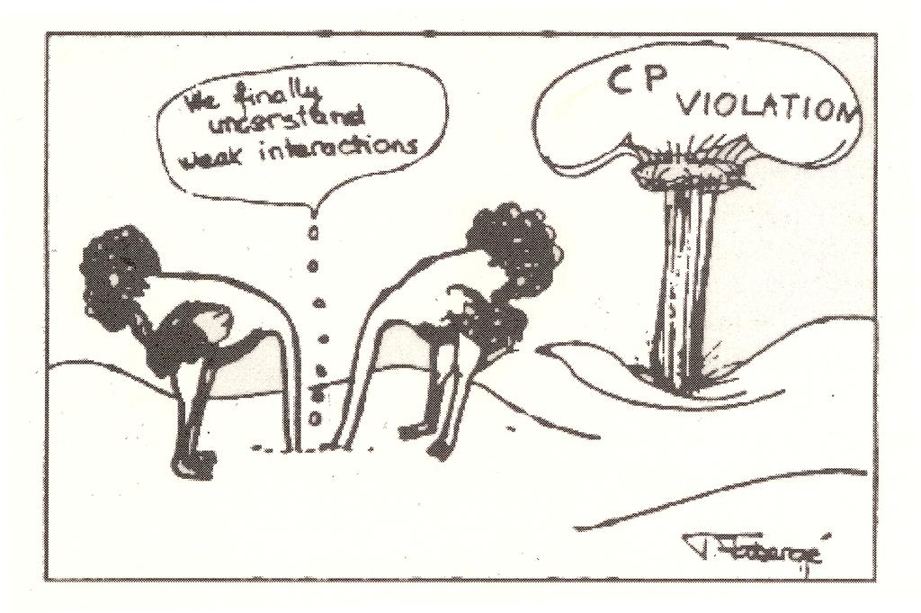 Weak Interactions & CP Violation Cartoon shown by N.
