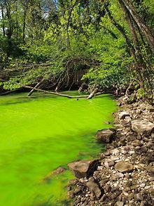 EUTROPHICATION - is the ecosystem response to the addition of artificial or natural substances, such as nitrates and phosphates, through fertilizers or