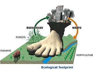 Capacity: Ecological Footprints Thinking About Ecological Footprints