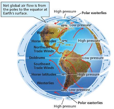 Global Wind Patterns trade wind: Blow from east to west Latitudes 30º latitude to the equator in both hemispheres