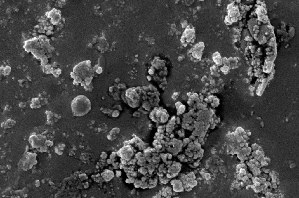 Figures 4: SEM images for the synthesized nano-particles of A. indica.
