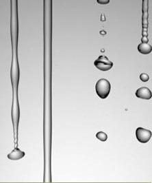 Properties of Water (as a result of polarity and H-bonding): COHESION: molecules are held
