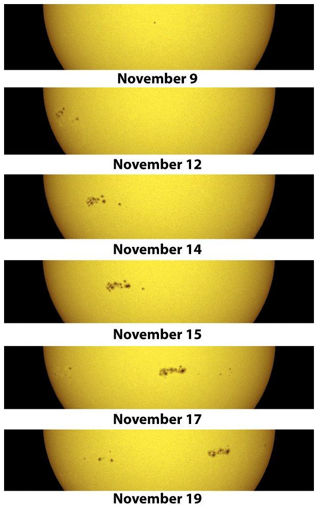 Sunspots come in groups, and follow the Sun s differential rotation.