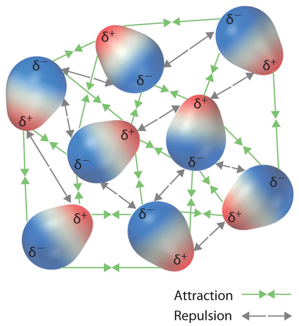the attraction between polarized (or dipolar) molecules.