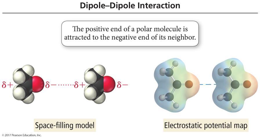 Dipole Dipole Forces Polar molecules have a permanent dipole.
