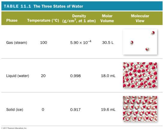 Three States of Water Notice that the densities of ice and liquid water are much larger than the density