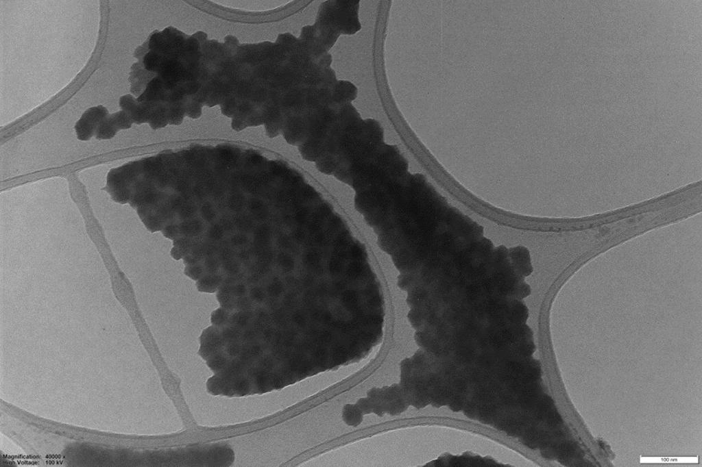 5. TEM images of peptide-nanocarbons at alkaline ph prior to