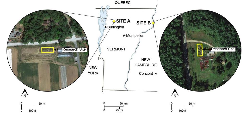 Site A River Berry Farm Fairfax, Franklin County, VT USDA Hardiness Zone: 4B Soils: Excessively drained Windsor loamy fine