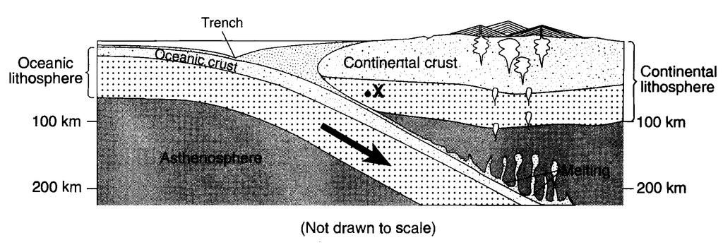 76. Base your answer to the following question on the cross section below, which shows the boundary between two lithospheric plates. Point X is a location in the continental lithosphere.