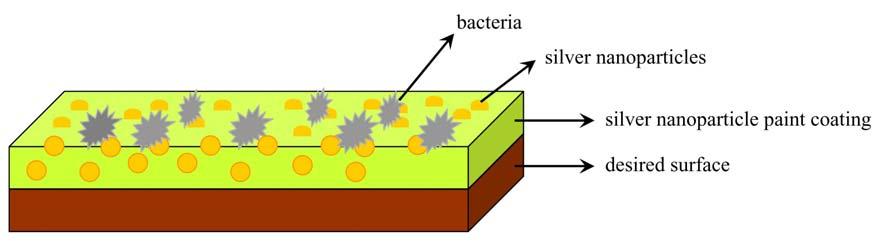 Figure S6 NP-paint interaction with bacteria. Schematic representation of AgNPs-paint coated on desired surface which decontaminate the bacteria when it get in contact to the bacteria. Table S1.
